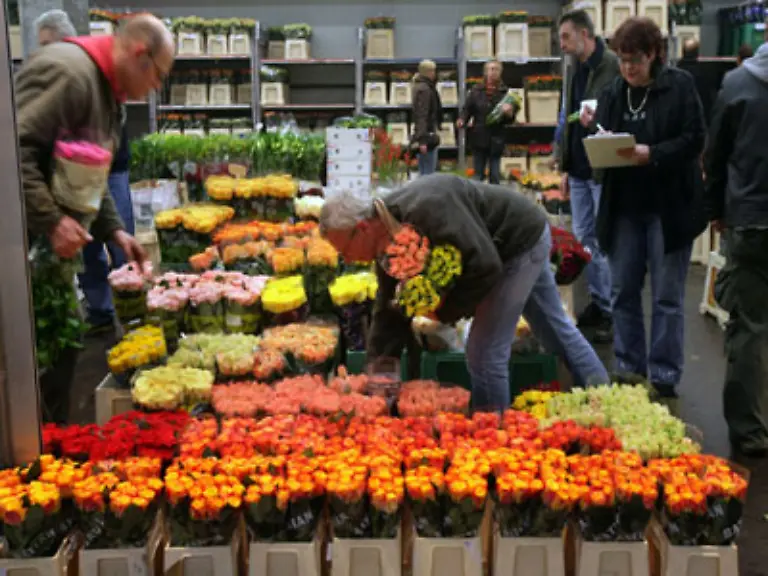 Aber-wo-kommt-das-gaengigste-aller-Valentinsgeschenke-ueberhaupt-her