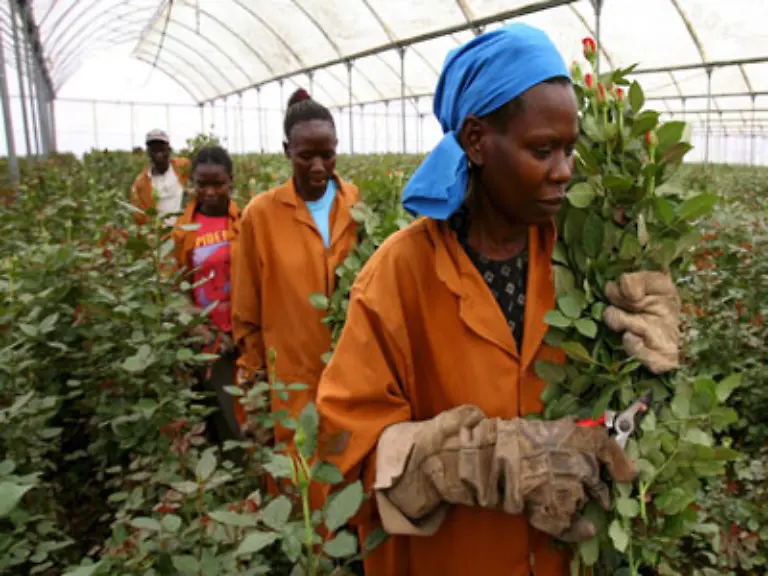 Hungerloehne-und-Willkuervertraege