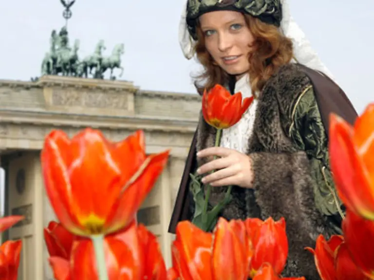 So-weit-so-gut-Aber-was-machen-alle-die-die-allen-Bemuehungen-zum-Trotz-immer-noch-unter-ihrem-Singledasein-leiden