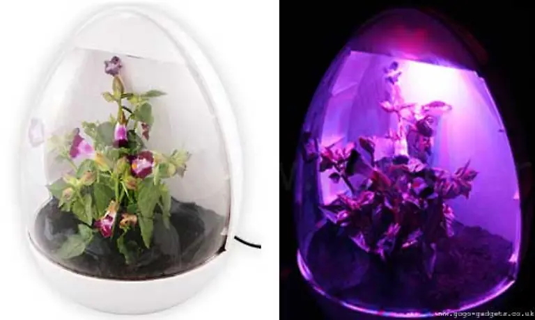 das-USB-Treibhaus-mit-echtem-Pflanzenlicht