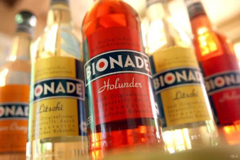 Wer-mit-dem-Spritsparauto-vorm-Bioladen-vorfaehrt-und-Bionade-statt-Fanta-schluerft-der-will-auch-bei-Essgeschirr-und-Party-Mitbringseln-ein-gutes-Gewissen-haben