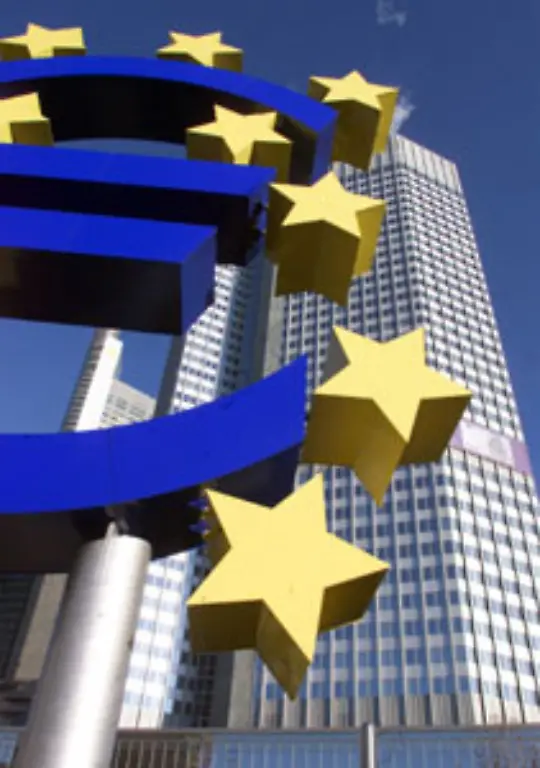 Die-EU-hat-noch-keine-Schritte-in-Richtung-quantitative-easing-angekuendigt-Da-der-Leitzins-in-der-Euro-Zone-mit-1-5-Prozent-im-Vergleich-zu-den-USA-relativ-weit-von-der-Null-Linie-entfernt-ist-ist-die-EZB-noch-nicht-unter-so-hohem-Druck-wie-andere-Notenbanken