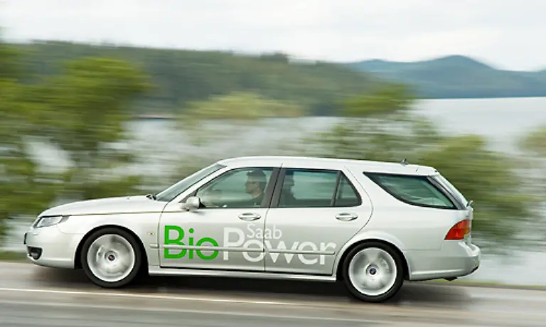 Doch-was-im-bevoelkerungsarmen-Schweden-eine-Option-ist-wurde-vom-Rest-der-Welt-als-Preistreiber-fuer-Lebensmittel-verworfen-So-setzte-man-international-gesehen-auf-das-falsche-Pferd