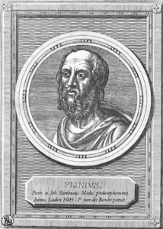 Zu-den-Opfern-gehoerte-auch-der-roemische-Schriftsteller-Plinius