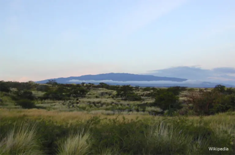 Durch-hawaiianische-Eruptionen-bilden-sich-oft-kuppelfoermige-Berge-die-so-genannten-Schildvulkane