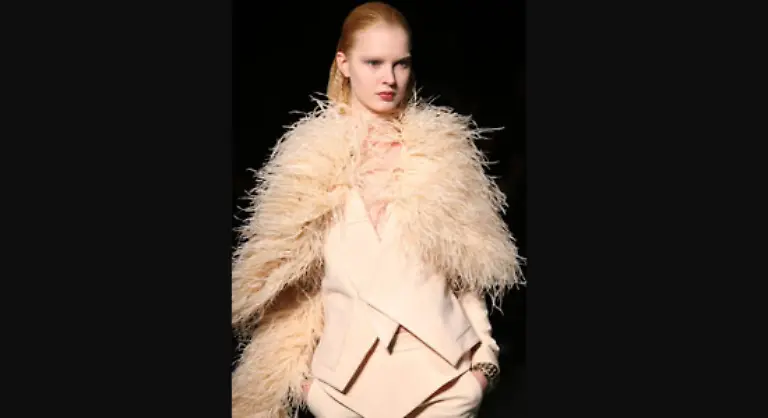 Schmueckende-Marabu-Federn