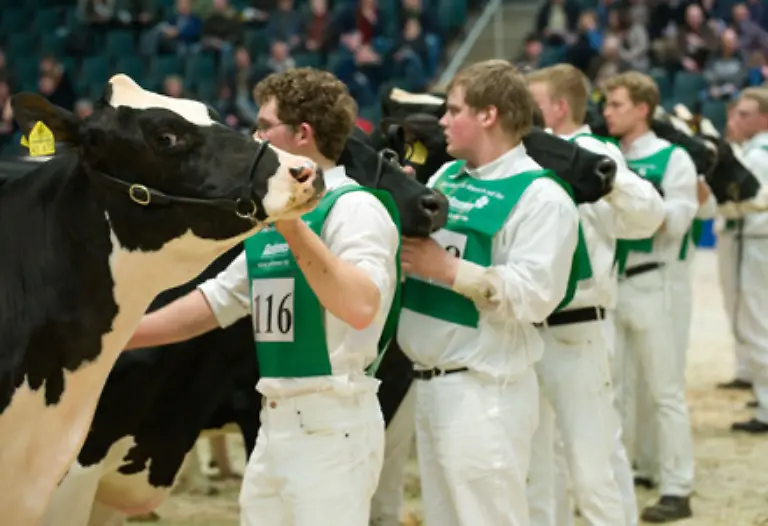 Diese-Aufmerksamkeit-und-Fuersorge-bekommt-jedoch-nur-ein-kleiner-Teil-der-auf-der-Welt-lebenden-rund-1-3-Milliarden-Rinder