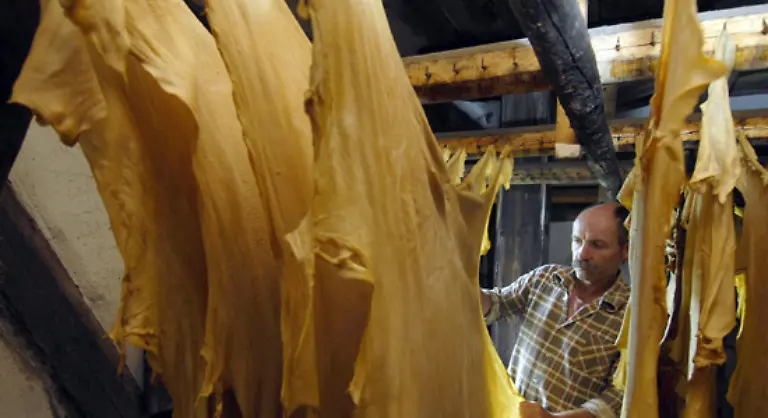 Die-Haeute-der-Tiere-sind-das-wirtschaftlich-wichtigste-Nebenprodukt-der-Intensivtierhaltung-Sowohl-Rinderfelle-als-auch-Rindsleder-koennen-gut-abgesetzt-werden