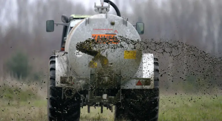 Ausserdem-liefern-Rinder-Guelle-Jauche-und-Mist-Beides-kommt-als-Duengemittel-in-der-Landwirtschaft-zum-Einsatz