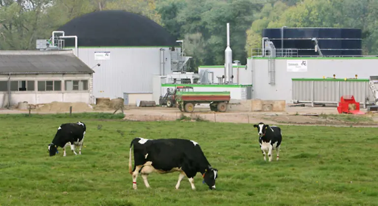 Aber-auch-zur-Gewinnung-von-Strom-und-Waerme-koennen-die-Exkremente-der-Tiere-in-Biogasanlagen-vergoren-werden