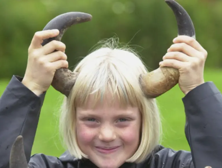 Sogar-die-Hoerner-der-Tiere-werden-zu-Hornspaene-oder-Hornmehl-verarbeitet-Hobbygaertner-schwoeren-darauf