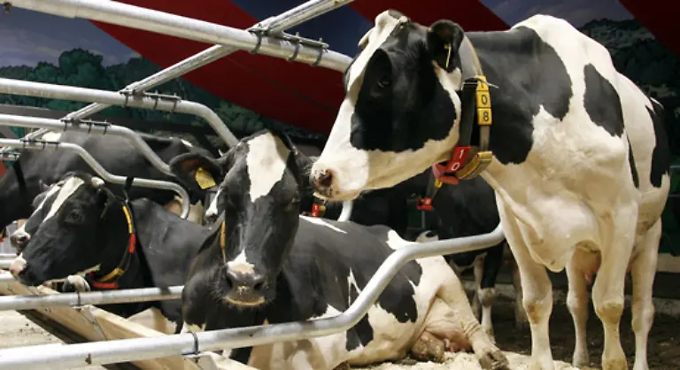 in-Hightech-Staellen-in-denen-alles-automatisch-laeuft