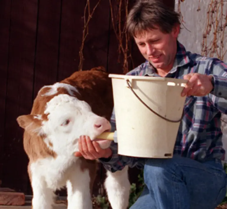 und-wird-mit-angeruehrtem-Milchpulver-als-Ersatzmilch-aus-dem-Nuckeleimer-versorgt