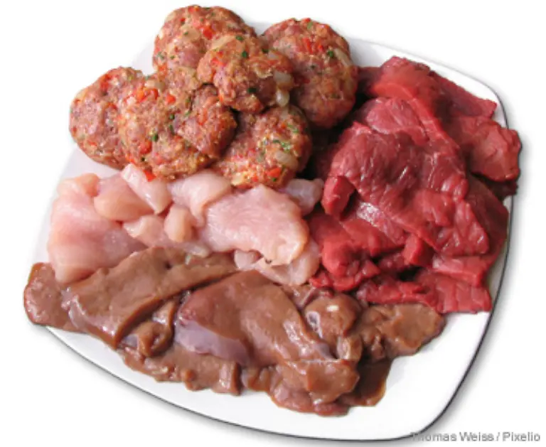 Laesst-die-Milchleistung-der-Kuehe-nach-werden-sie-geschlachtet-und-landen-schliesslich-als-Fleisch-auf-unseren-Tellern