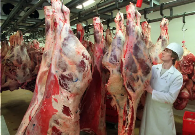 Trotz-dieser-Ergebnisse-steigt-der-weltweite-Bedarf-an-Rindfleisch-seit-der-BSE-Krise-zur-Jahrtausendwende-wieder-stetig-an