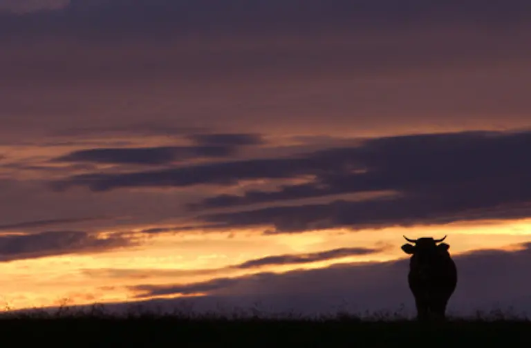 nachdenklich-stimmen