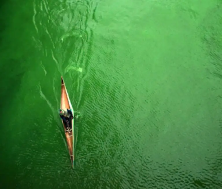 Nicht-nur-Baeume-und-Wiesen-selbst-Fluesse-wie-hier-der-Chicago-River