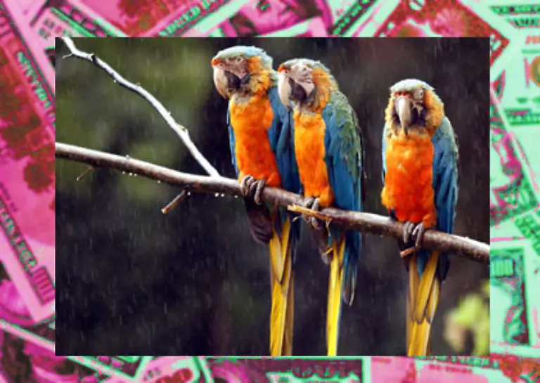 Zugestaendnisse-nicht-mehr-als-unkooperativ-zu-gelten-und-von-der-Liste-gestrichen-zu-werden-Gleichzeitig-sind-die-anderen-Steuerparadiese-in-Europa-nicht-scharf-darauf-an-ihre-Stelle-zu-ruecken-Die-Drohung-der-G-20-hat-ihre-Wirkung-getan