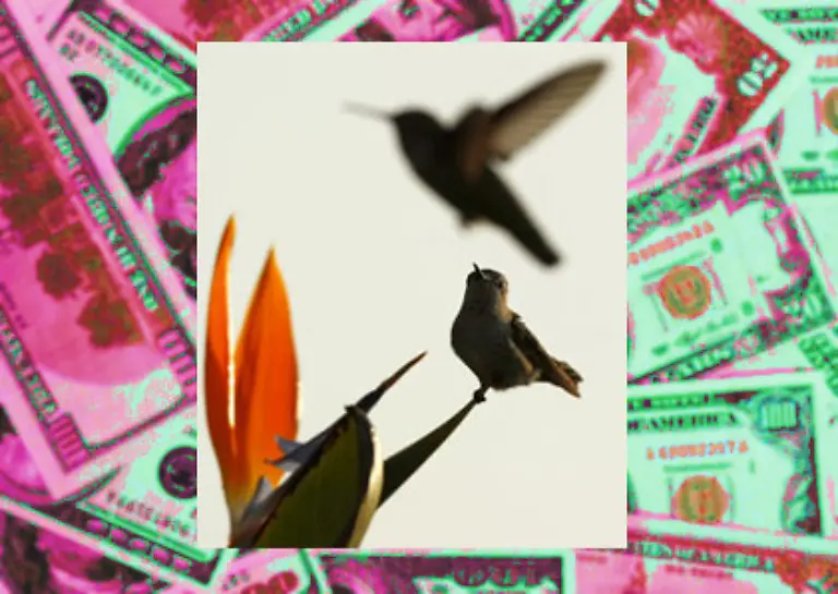 Die-Neuverschuldung-ist-ueberall-so-stark-gestiegen-und-die-Steuereinnahmen-gleichzeitig-gesunken-dass-alle-nach-neuen-Einnahmequellen-suchen-Man-bedenke-geschaetzte-600-Mrd