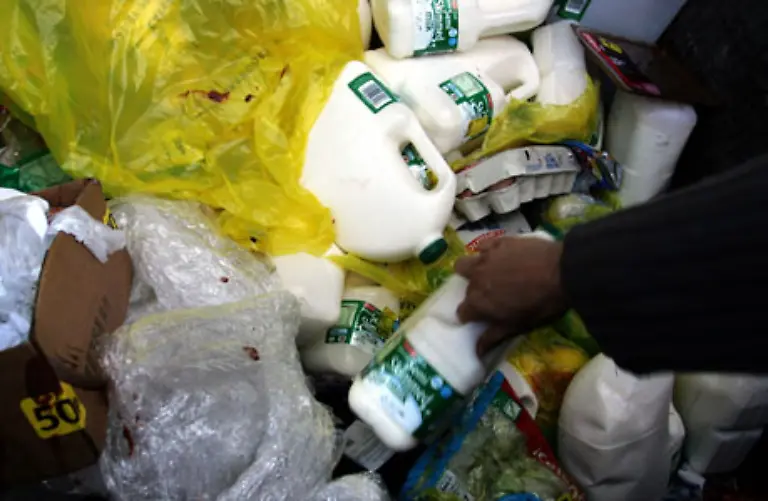 Ein-Freeganer-ist-in-erster-Linie-kein-Freak-sondern-vor-allem-free-frei-und-veganer-eine-Person-die-auf-Tierprodukte-verzichtet-So-kommt-die-Bezeichnung-free-ganer-zustande