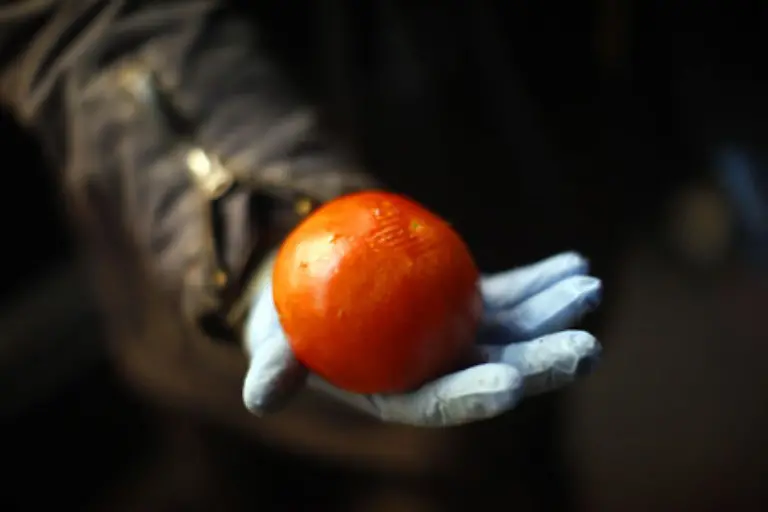 Ein-Freeganer-boykottiert-den-Ueberfluss-in-einer-Wegwerfgesellschaft-indem-er-das-sammelt-und-isst-was-andere-weggeworfen-haben