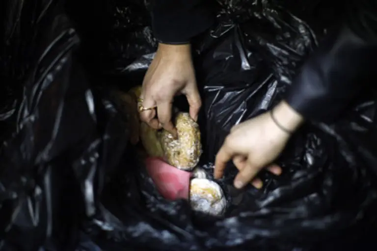 Schaetzungen-zufolge-werden-in-den-USA-50-Prozent-aller-produzierten-Lebensmittel-weggeworfen-Die-Qualitaet-ist-ueberraschend-gut