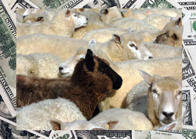 diskutiert-werden-wie-gegen-schaedliche-Praktiken-ueber-nicht-kooperative-Laender-vorgegangen-werden-kann-Beispielsweise-koennte-man-den-Zahlungsverkehr-mit-solchen-Laendern-erschweren-oder-den-Geschaeftsverkehr-mit-ihnen-einer-besonderen-Aufsicht-unterstellen