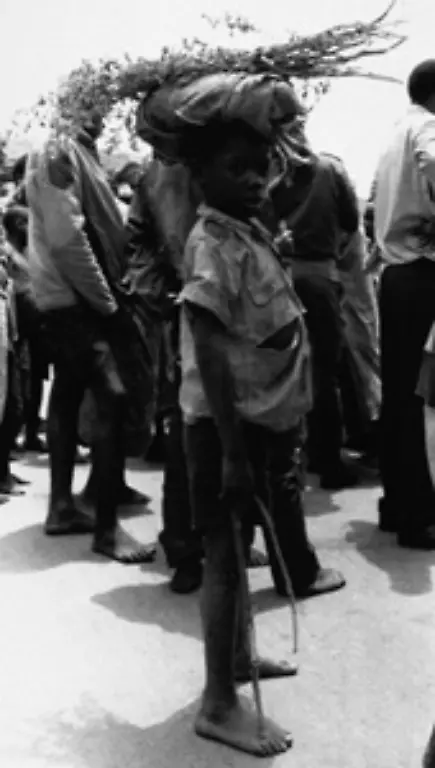 Als-Tutsi-galten-die-reichen-Viehbesitzer-die-Elite-des-Landes-Hutu-waren-die-aermeren-Ackerbauern