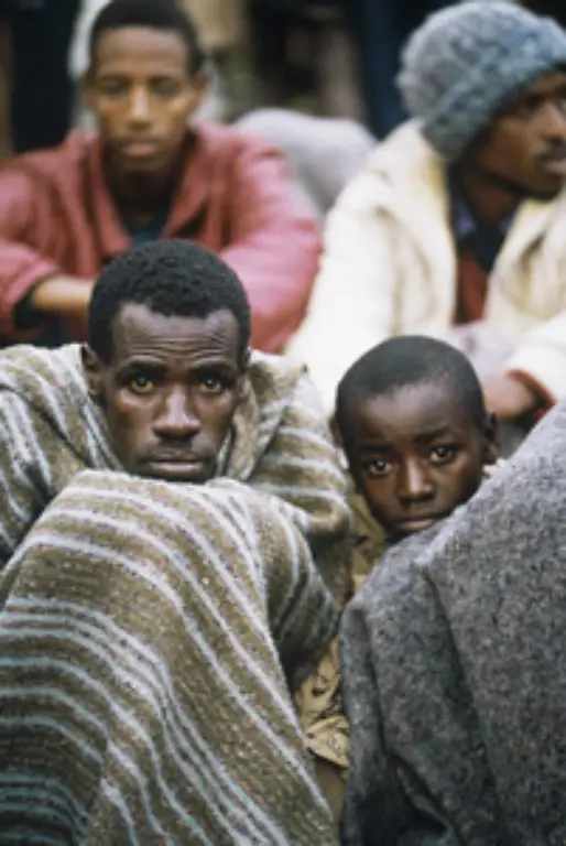 In-den-Monaten-vor-dem-Anschlag-auf-Habyarimana-nimmt-die-Hasspropaganda-zu-in-radikalen-Rundfunksendern-werden-Tutsi-immer-wieder-als-Inyenzi-Kakerlaken-bezeichnet