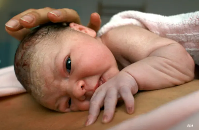 und-sind-fuer-die-Fortpflanzung-verantwortlich