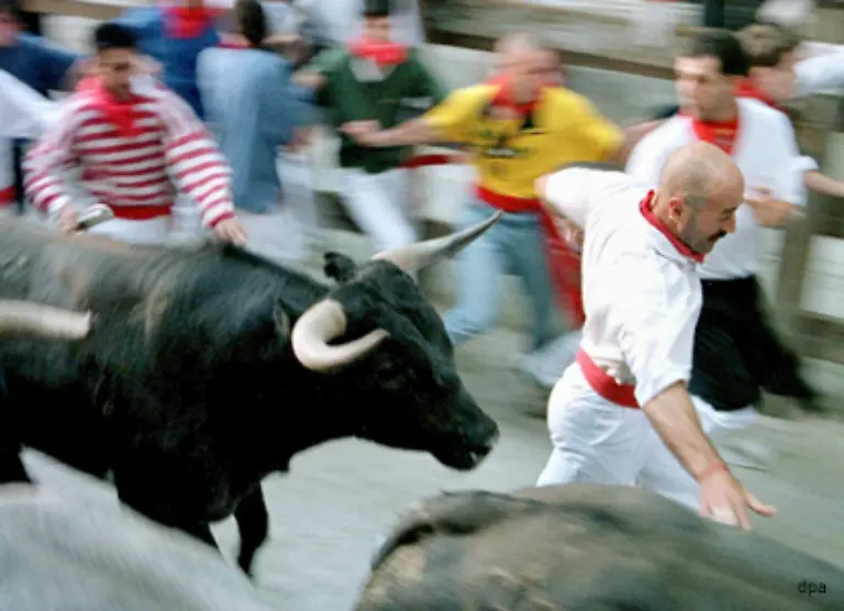 Adrenalin-wird-auch-als-Fluchthormon-bezeichnet-In-Notfaellen-mobilisiert-es-die-notwendigen-Energiereserven