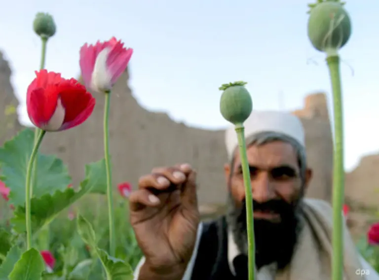 Endorphin-wird-auch-als-natuerliches-Opium-bezeichnet-und-ist-chemisch-mit-Morphin-verwandt