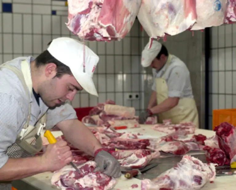 sowie-das-Fleisch-der-Tiere-sind-beliebte-und-weit-verbreitete-Produkte