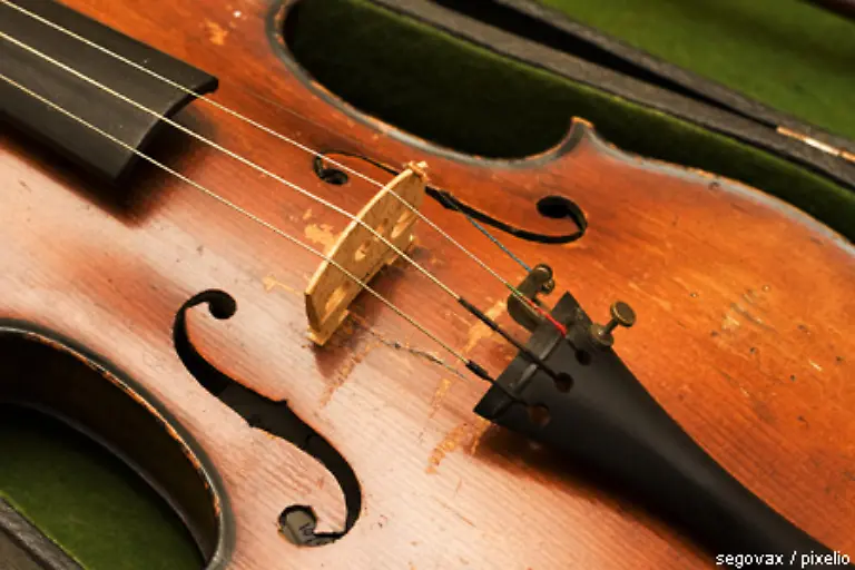 Zudem-werden-bis-heute-Instrumentensaiten