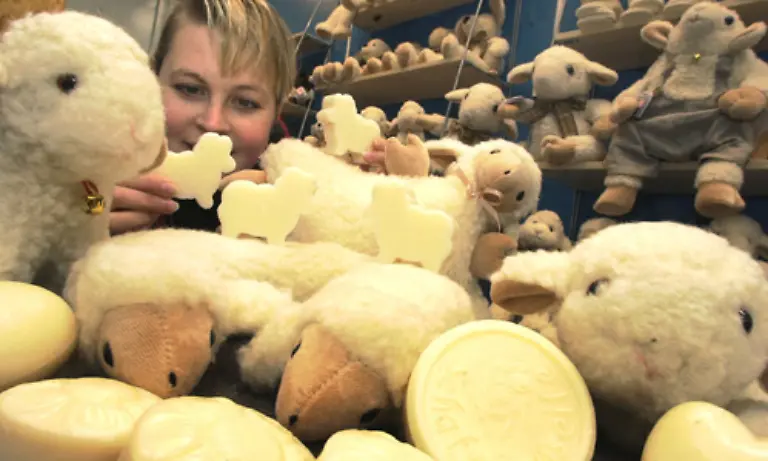 Produkte-aus-reiner-Schurwolle-sind-besonders-flauschig-und-waermend