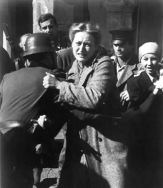 Im-Januar-1979-loest-der-TV-Vierteiler-Holocaust-eine-Diskussion-ueber-die-deutsche-Vergangenheit-aus-Titel-und-Inhalt-der-Serie-praegen-die-westdeutsche-Erinnerungskultur-auf-Jahre