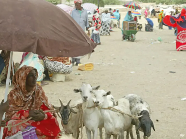 Gesicherte-wirtschaftliche-Zahlen-sind-aufgrund-der-chaotischen-Verhaeltnisse-kaum-zu-erheben-Grundlage-der-rudimentaer-entwickelten-Wirtschaft-ist-die-Viehhaltung-Ungefaehr-70-Prozent-der-Bevoelkerung-leben-von-der-Landwirtschaft