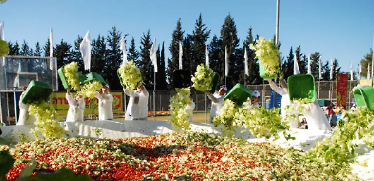 Groesste-Salat-Portion-Im-November-2007-liess-die-Sde-Warburg-Agricultural-Association-Israel-eine-10-260-t-schwere-Portion-Salat-zubereiten-Unter-anderem-wurden-dabei-9000-kg-Salat-1500-kg-Karotten-500-kg-Cherry-Tomaten-und-800-Liter-Dressing-verarbeitet