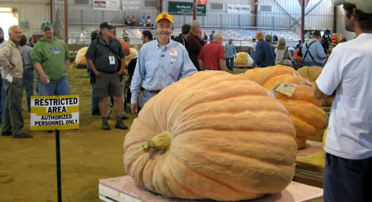 Schwerster-Kuerbis-Der-mit-kolossalen-766-12-kg-schwerste-Kuerbis-wurde-von-Joseph-Jutras-USA-beim-Riesenkuerbiswiegen-von-New-England-in-Topsfield-USA-ausgestellt-Josephs-Kuerbis-schlug-den-bestehenden-Rekord-fuer-den-schwersten-Kuerbis-um-84-8-kg