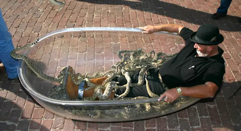 Meiste-Klapperschlangen-Jackie-Bibby-USA-alias-The-Texas-Snake-Man