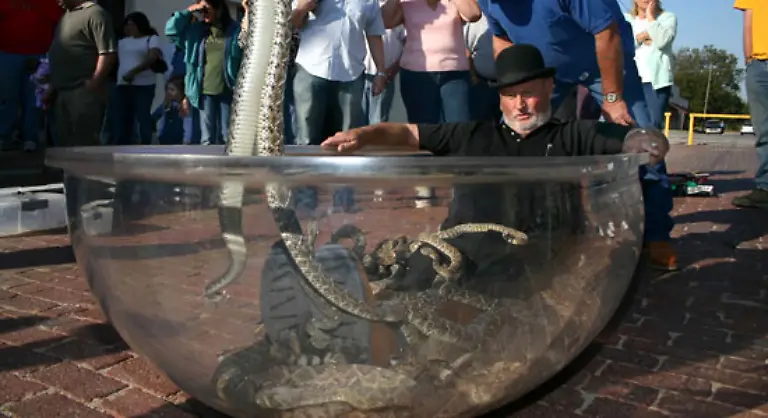 verbrachte-am-5-November-2007-45-Minuten-in-einer-Badewanne-mit-87-Schlangen