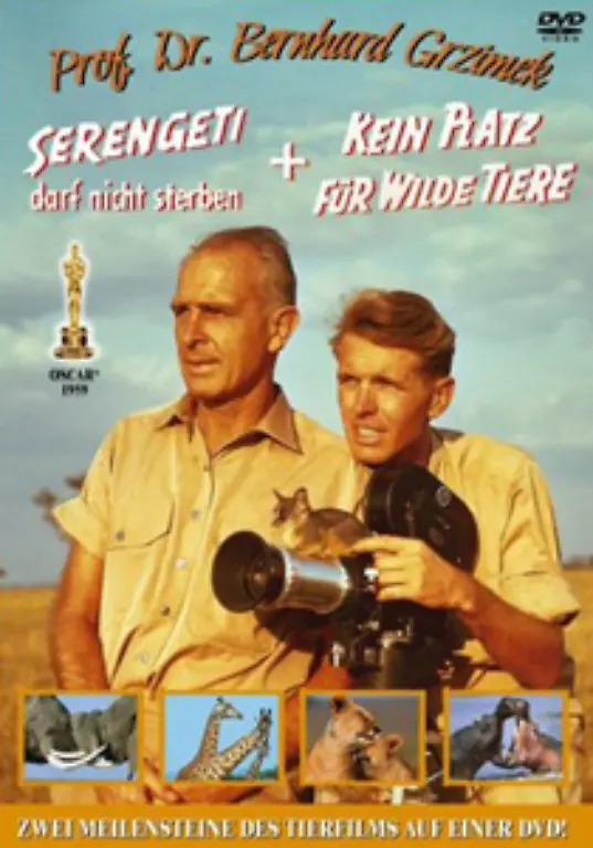 Fuer-seinen-1959-entstandenen-Dokumentarfilm-Serengeti-darf-nicht-sterben-erhielt-der-Professor-1960-als-erster-Deutscher-nach-dem-Zweiten-Weltkrieg-einen-Oscar