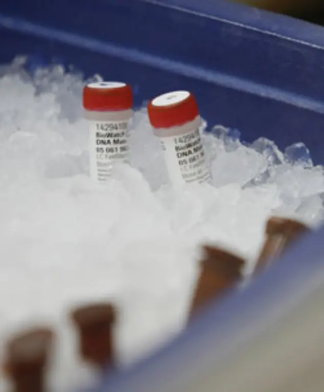 Dass-bereits-vorhandene-Grippeimpfungen-einen-wirksamen-Schutz-bieten-zweifeln-Forscher-an