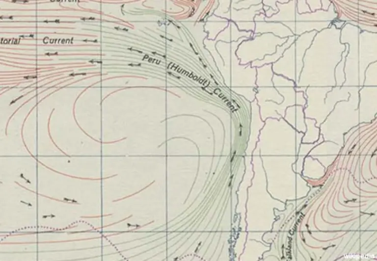 ein-kalter-Meeresstrom-im-Pazifik