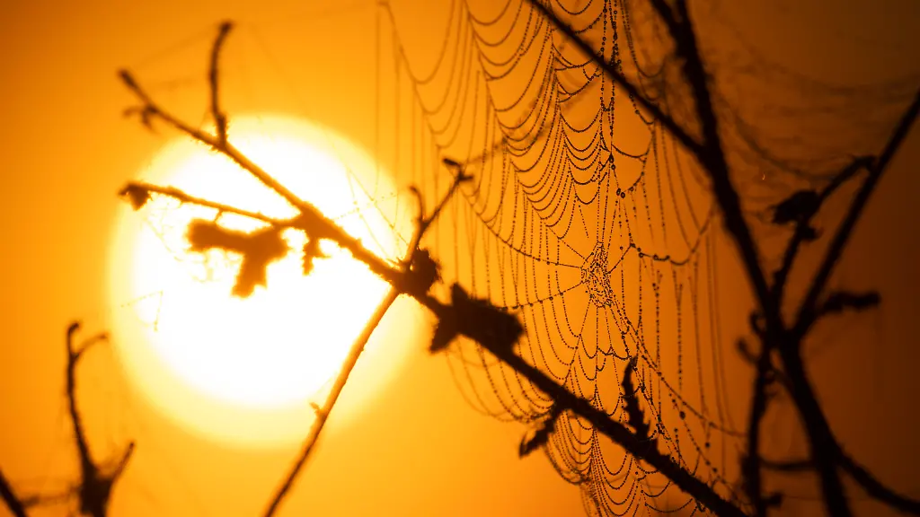 670ec564969ccc97ab814b715c7611fe