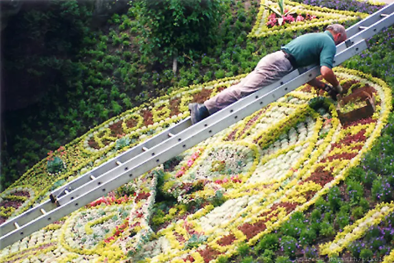 9-Gartenpflege-Steht-der-Garten-grundsaetzlich-allen-Mietern-offen-muessen-auch-alle-fuer-seine-Pflege-aufkommen-Anders-sieht-es-aus-wenn-der-Nutzerkreis-begrenzt-ist-Wer-den-Garten-nicht-betreten-darf-muss-nicht-fuer-den-schoenen-Anblick-bezahlen