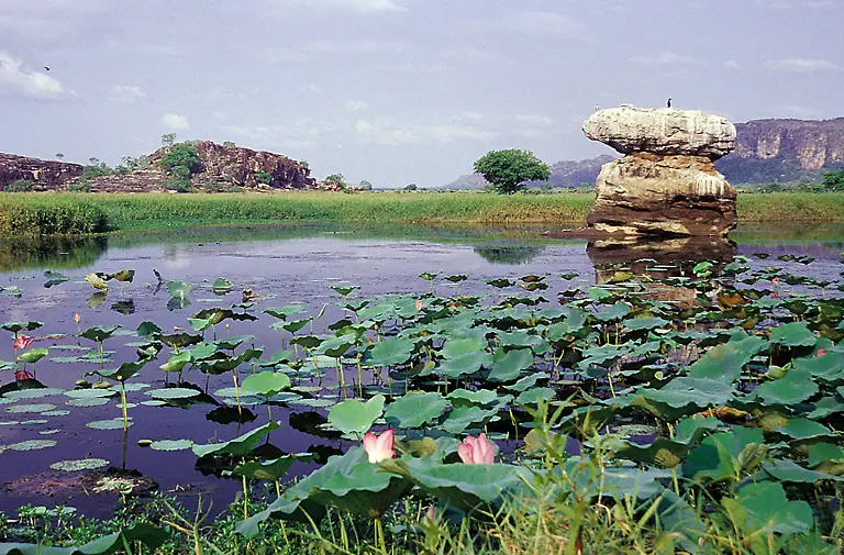 kakadu-nationalpark