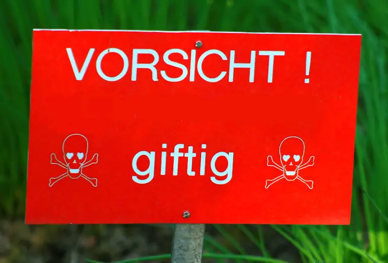 373695-R-by-mad-max-pixelio