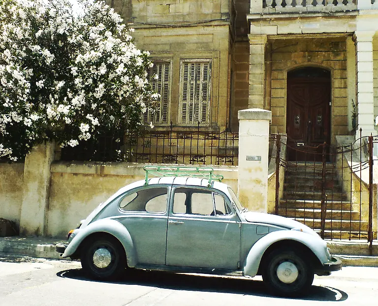 405098-R-by-Cornelius-Zepf-pixelio-de