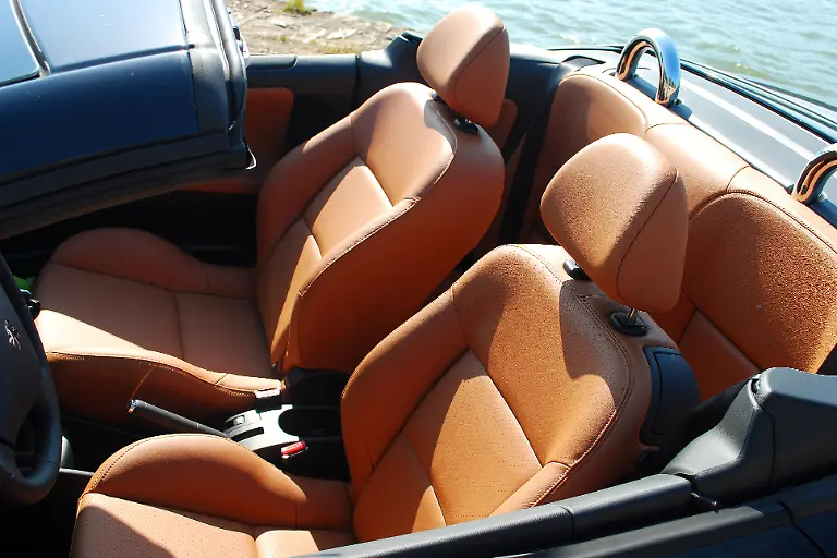 Peugeot-207-CC-27-08-2009-11-06-39